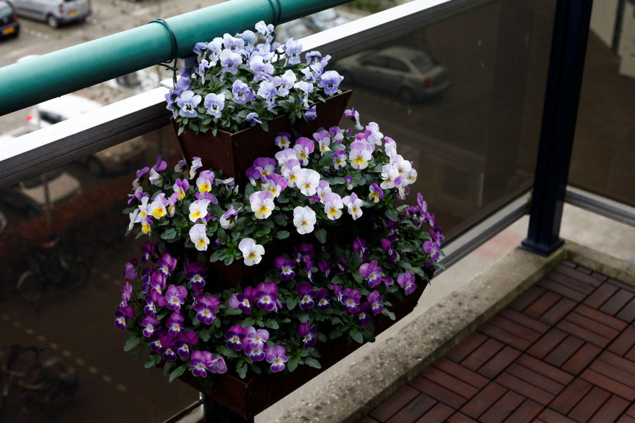 Tuinieren op een balkon: 4 tips