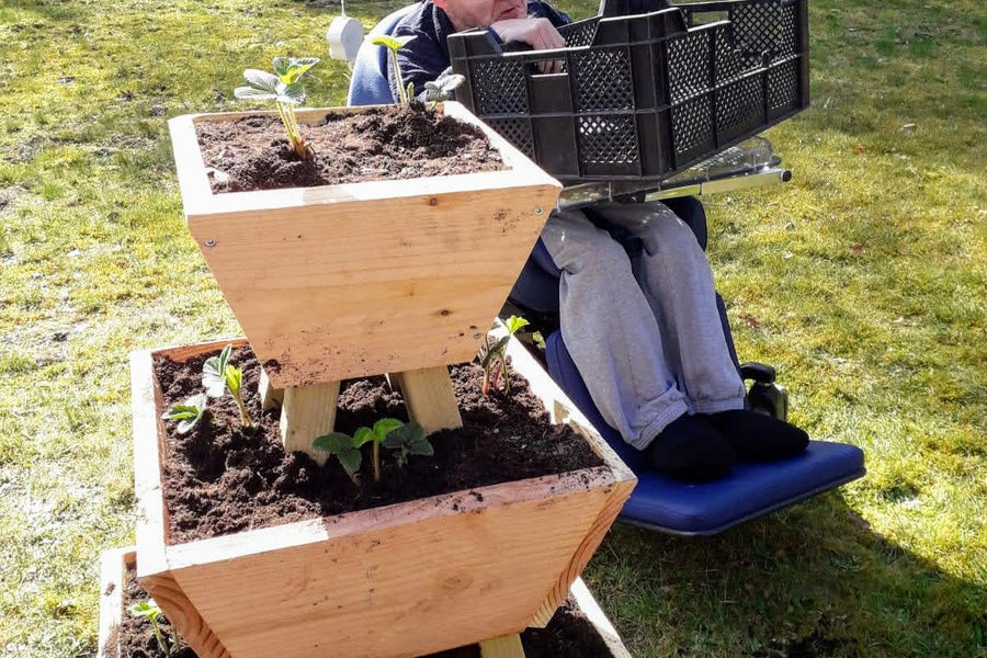 Eerste aardbeien geplant in 's Koonings Jaght