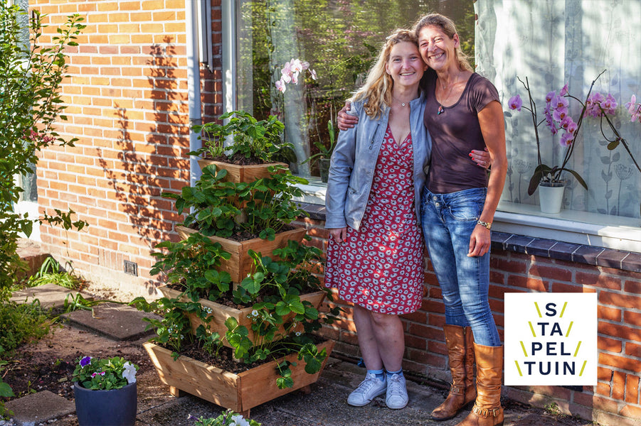 Stapeltuin bómvol aardbeien winnares