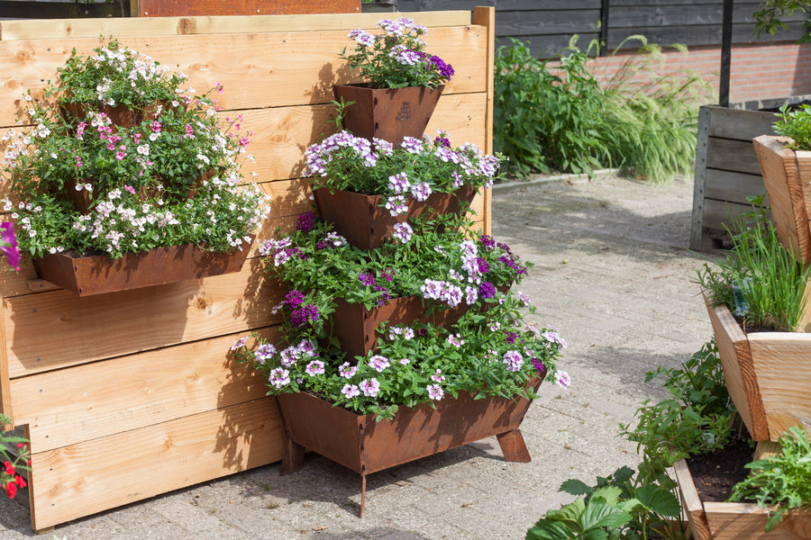 Geen tuin, maar toch thuis tuinieren?