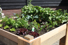 Moestuinbak met uniek waterbuffersysteem