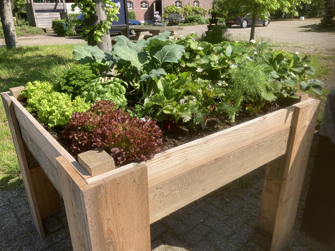 Moestuinbak met uniek waterbuffersysteem