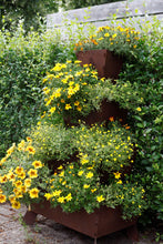 Stapeltuin Wandmodel 4 - Cortenstaal