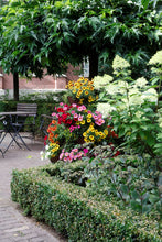 Stapeltuin 4 - Cortenstaal