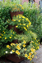 Stapeltuin Wandmodel 4 - Cortenstaal
