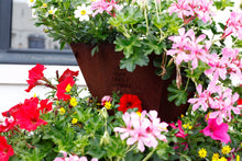 stapeltuin, bloemen, dorp, stadscentrum, verticaal tuinieren