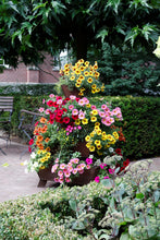 Stapeltuin 4 - Cortenstaal