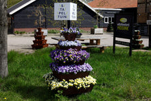 stapeltuin, cortenstaal, verticaal tuinieren, bloemen, bloementoren, bloemenzuil, violen