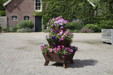 stapeltuin, cortenstaal, verticaal tuinieren, bloemen, petunia, surfinia