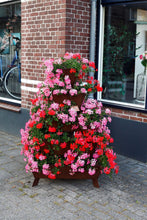 stapeltuin, cortenstaal, verticaal tuinieren, bloemen, bloementoren, bloemenzuil, geraniums